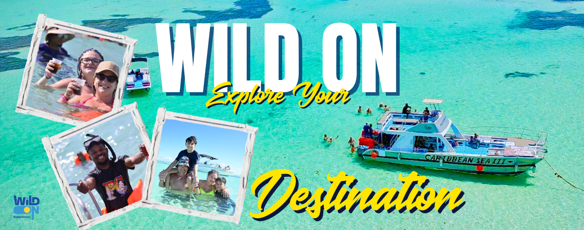 wild on punta cana excursion de catamaran buggy y golf cart tours privados