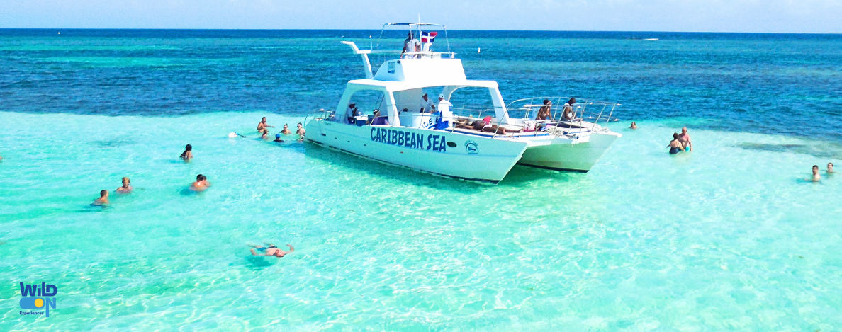 wild on punta cana excursion de catamaran buggy y golf cart tours privados