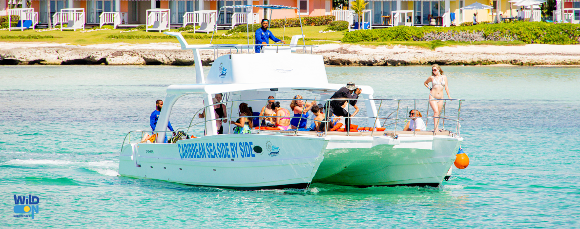 wild on punta cana excursion de catamaran buggy y golf cart tours privados