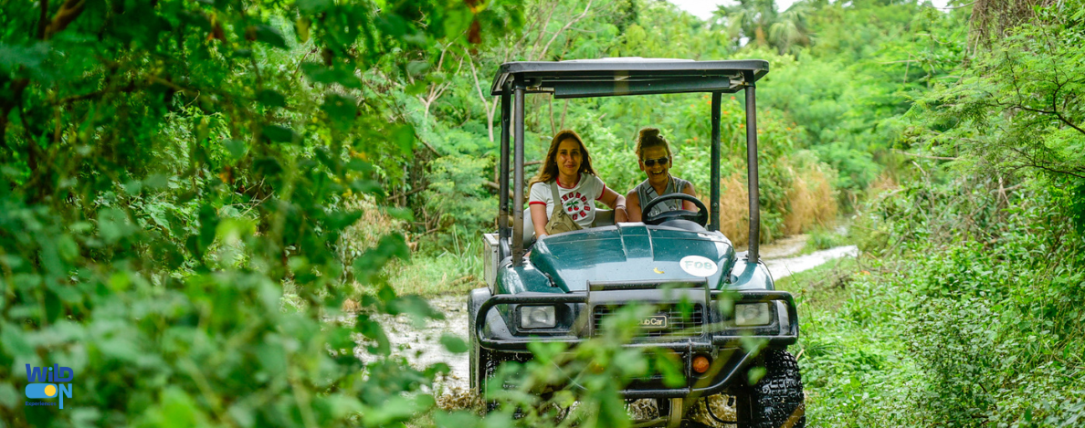 wild on punta cana excursion de catamaran buggy y golf cart tours privados