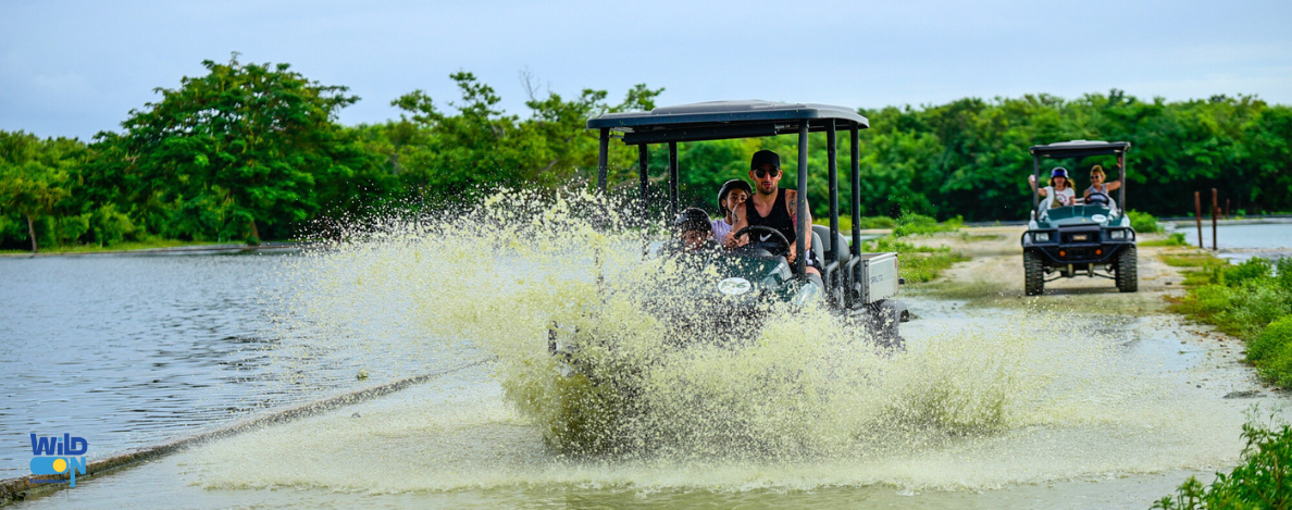 wild on punta cana excursion de catamaran buggy y golf cart tours privados