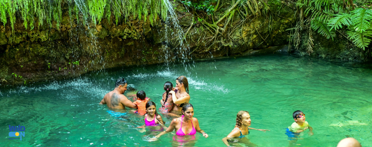 wild on punta cana excursion de catamaran buggy y golf cart tours privados