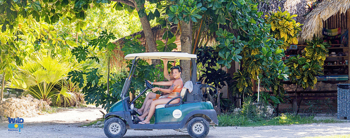 wild on punta cana excursion de catamaran buggy y golf cart tours privados