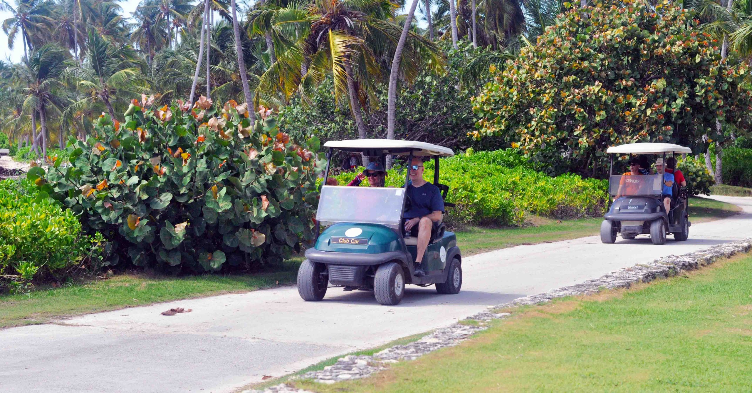 Eco tour super combo Wild on punta cana excursion en golf cart electirc cenote atabey ojos infdigenas