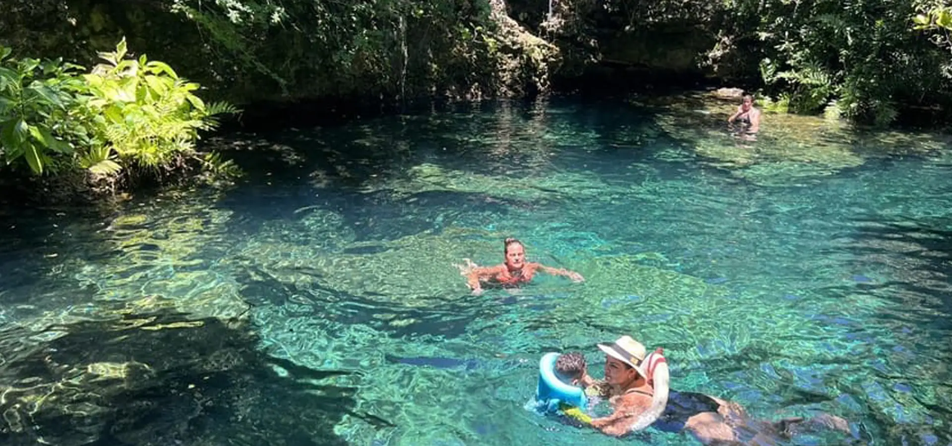 Hidden cenote Punta Cana Cenote and nature tour Punta Cana