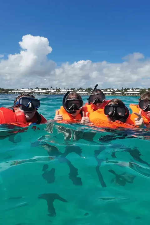 Snorkeling Punta Cana | Wild On Excursions